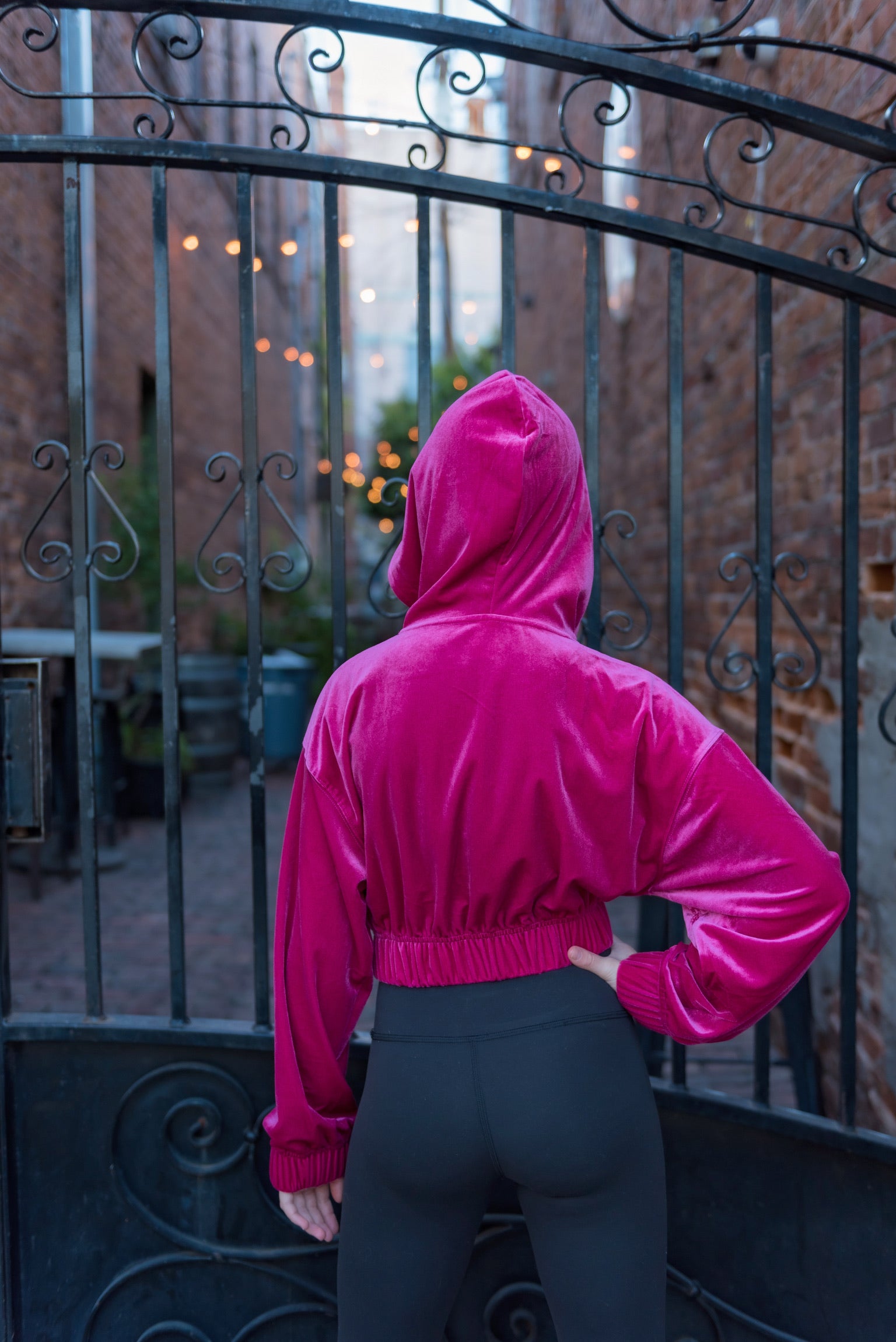 Lovefool Velour Hoodie